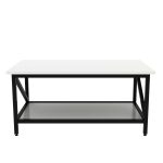 Steel Casper Coffee Table with Storage Shelf & Wooden Top - Image 6