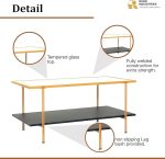 Steel Mid Century Coffee Table with Storage Shelf & Glass Top - Image 3